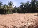 80 cent plot for sale