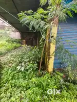 Plot sale Mauza lawa Khadgaon. Road lawa