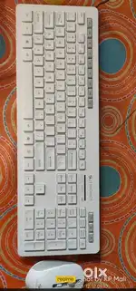 Zebronics wireless keyboard & mouse