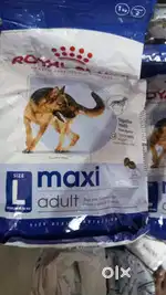 Dog food items