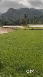 On road property for sale