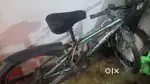 New branded cycle