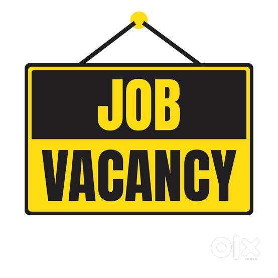 Collection Executive for Banking Field