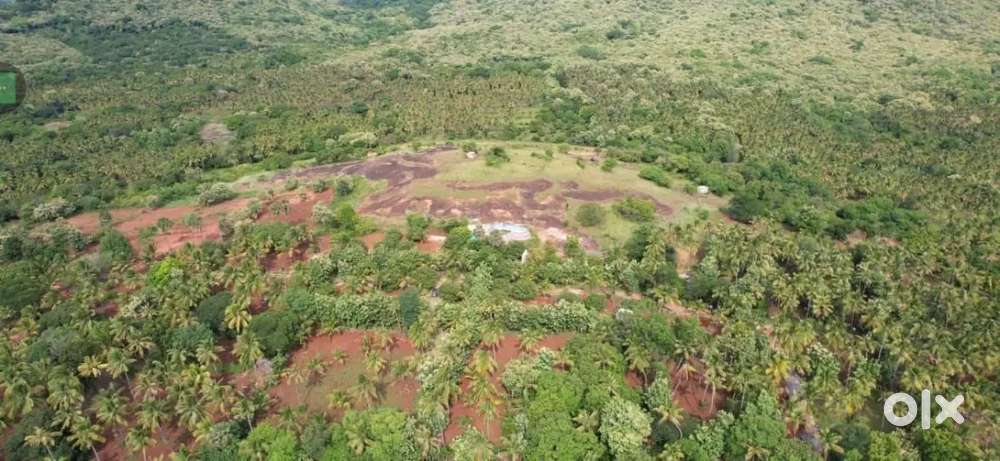 Farm land for sale in courtallam