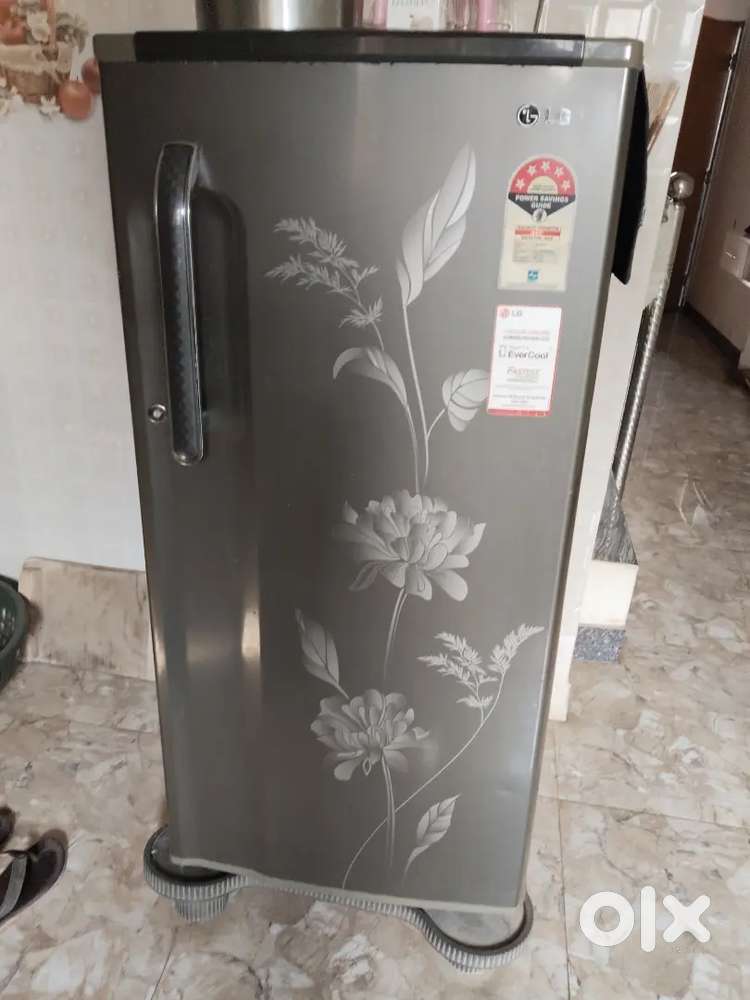 Friz tip top condition