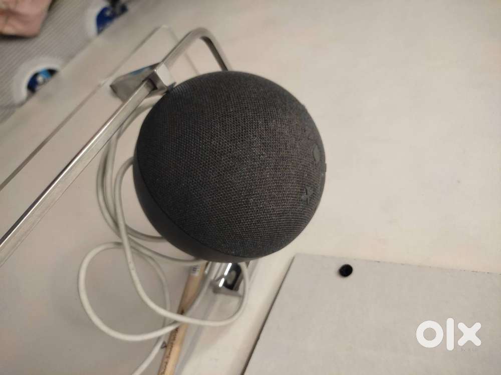 Alexa 5th generation