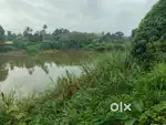 Muvattupuzha mekkadampu 2.5 acre for sale