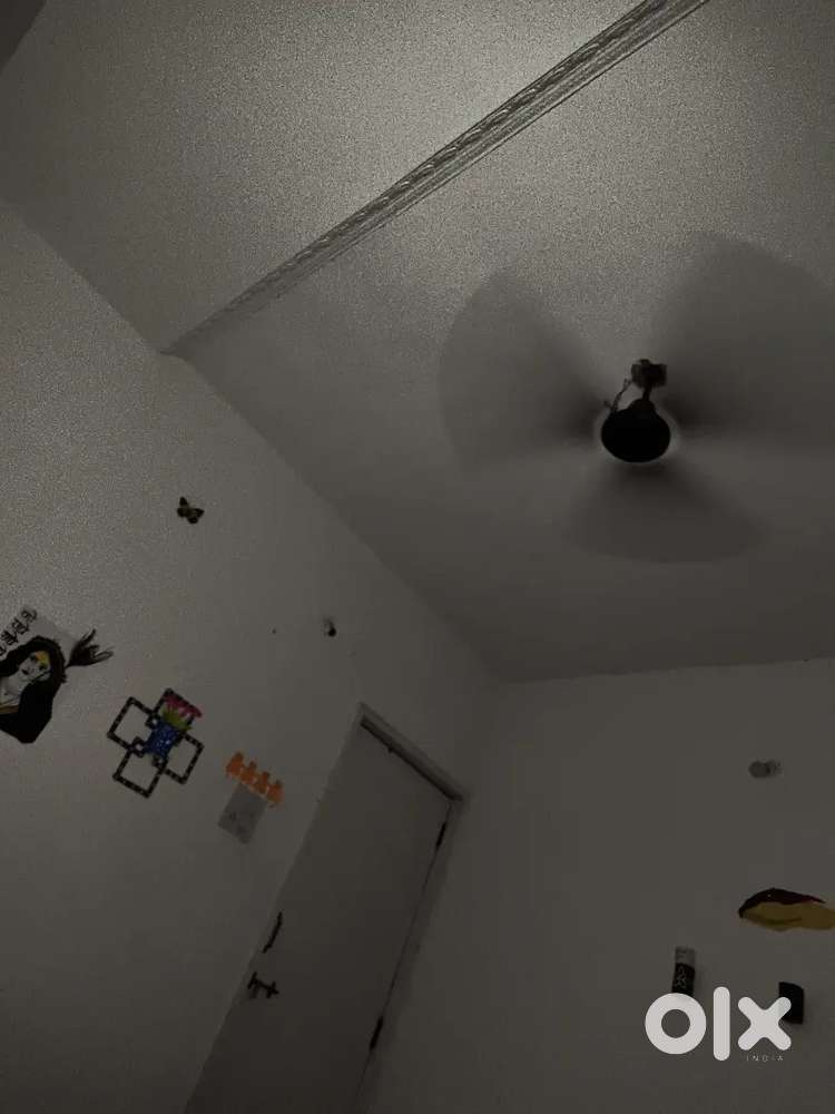 Road par hi flat hai sari chijen available hai