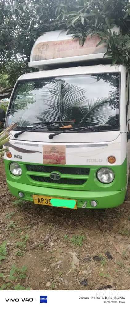 Tata ace gold