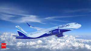 Female Candidates Freshers & Experience  Apply Fast Join Us Indigo Air