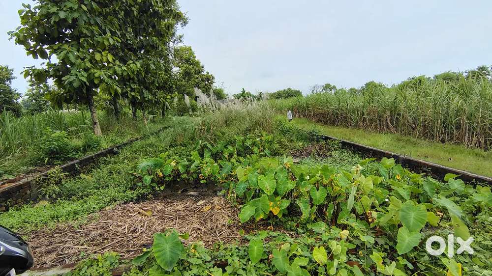 1 कट्ठा ज़मीन है