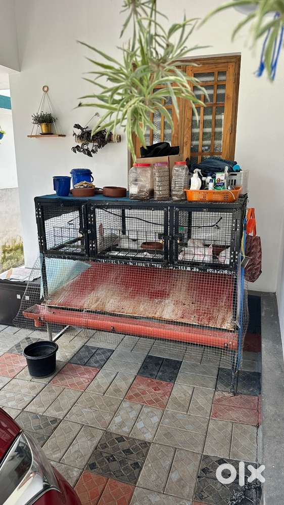 Rabbit cage for sale