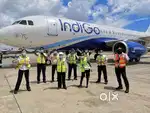 UGENTLY JOB VACANCY IN AIRPORT GROUND STAFF/CABIN CREW APPLY NOW