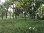 House plot for sale