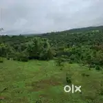 Plot for sale - Puikhadi,kolhapur
