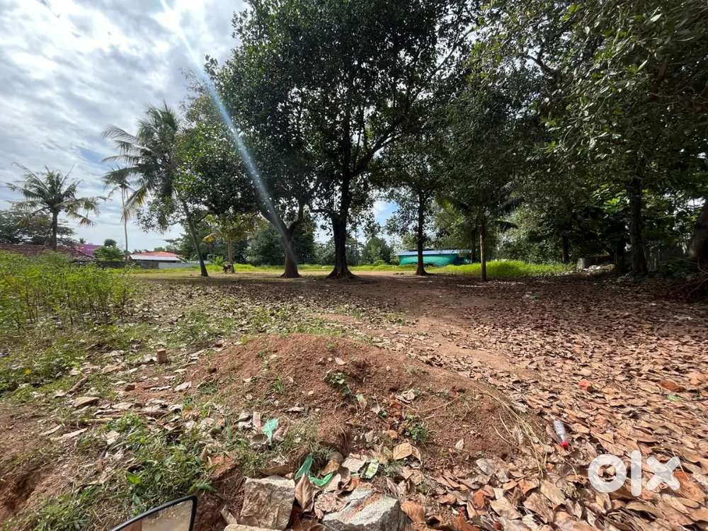 80 cent plot for sale