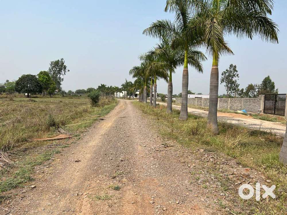 खुद के सपनों का घर - एक फार्महाउस