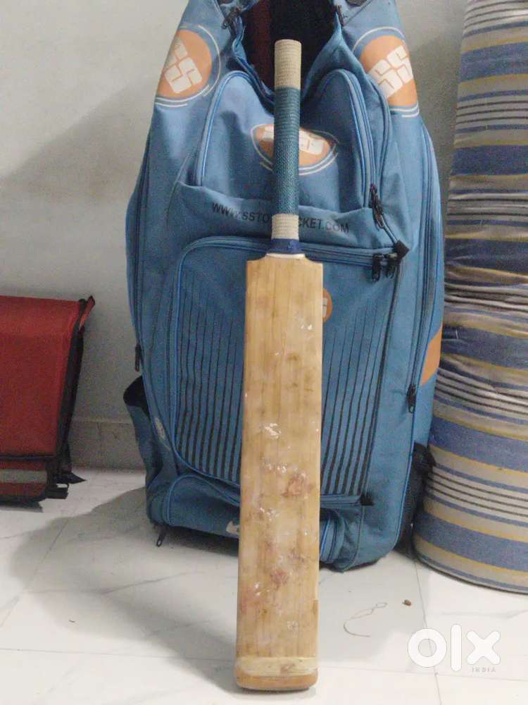 Premium BB English Willow bat for sale