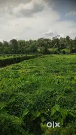 കൃഷിക്ക് അനുയജ്യമായ സ്ഥലം വില്പനയ്ക്ക്