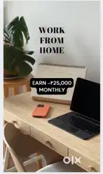 Work From Home Online