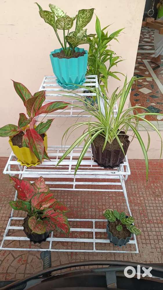 Flower pot stand