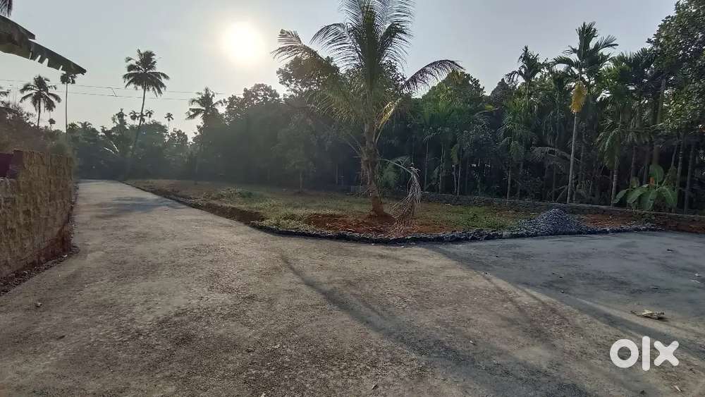 5,7,8, 10 CENT PLOT ANGAMALY PULIYANAM JUNCTION NEAR BY