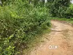 15cent plot near mararikulam temple cherthala
