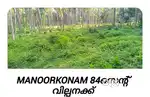 Manoorkonam Nedumagad