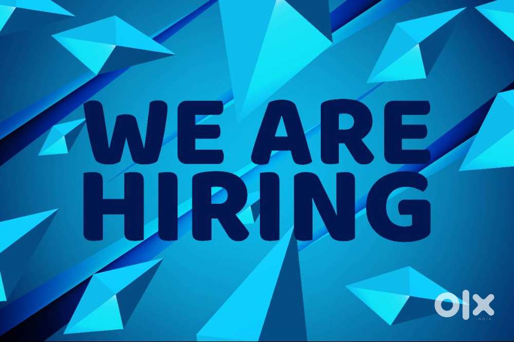 Cashier /Junior accountant