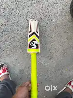 Sg english willow bat