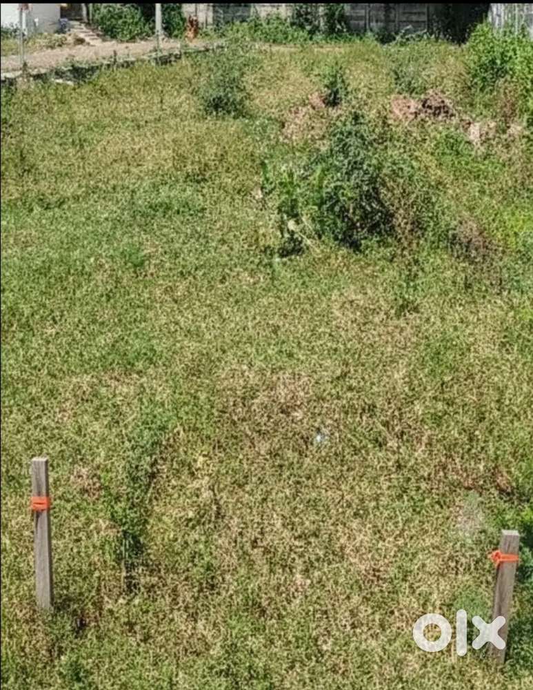 Corner plot 48 frontage