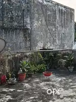 Small family