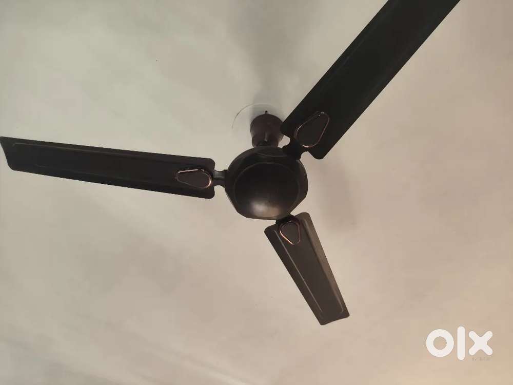 Fan in working condition