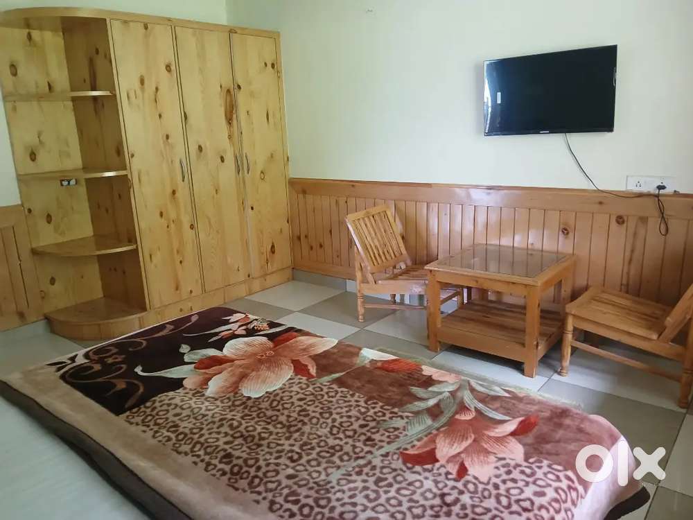 Single luxury room with kitchen
