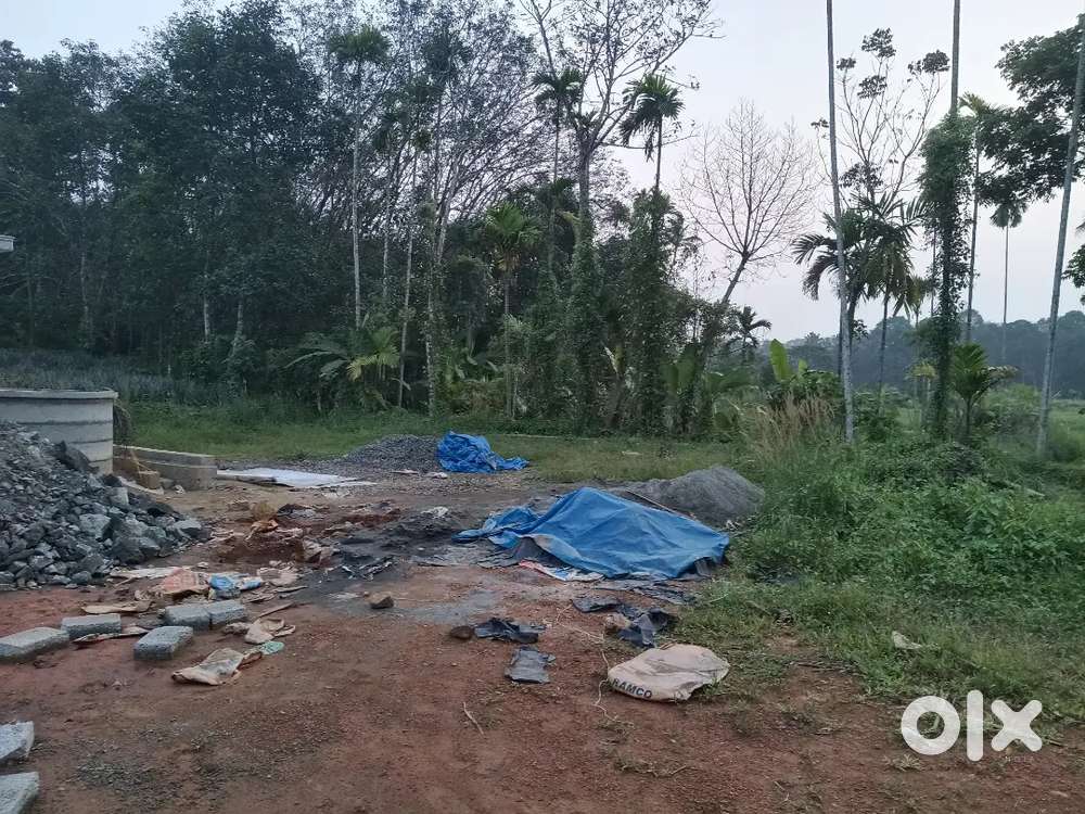 Thattammugal near 5 cent houseplot infopark 16 km 2 lak per cent