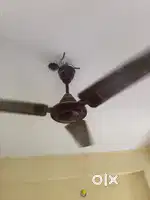 bajaj selling fan
