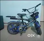 Alexander Bicycle