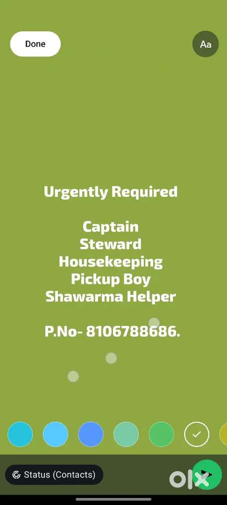 Experience steward and Housekeeping Boys