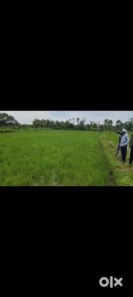 BilhaMohbhatta Railway crossing near Mudhipaar gaon 1Akad kheti jameen