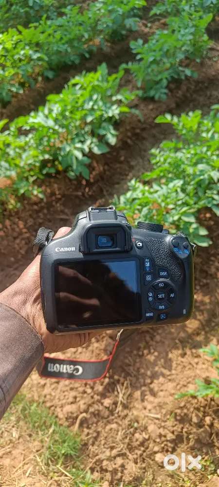 Canon 1200d