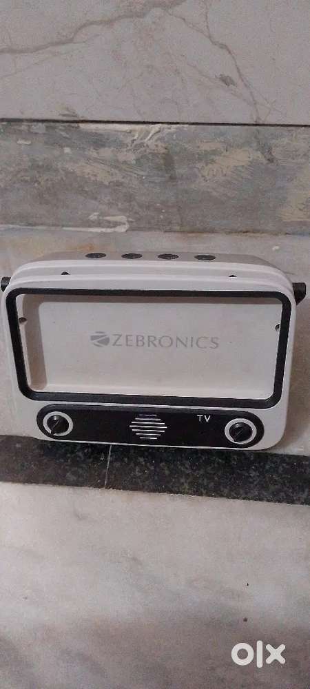 Zebronics Radio (ASTRA10)