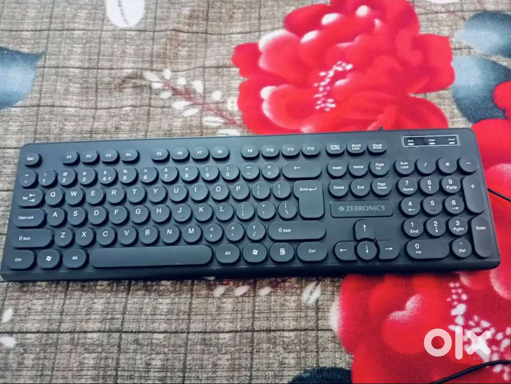 Zebronics Keyboard