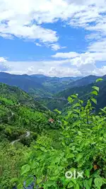 2 nali (480 sq yard) 31 kms from Rishikesh