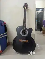 unused Guitar