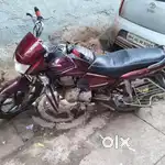 Honda shine। Model 2008
