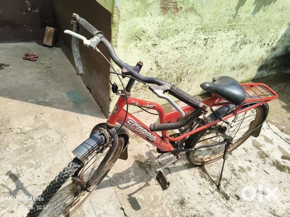 Cycle Scorpio