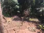 16 Cent plot for sale