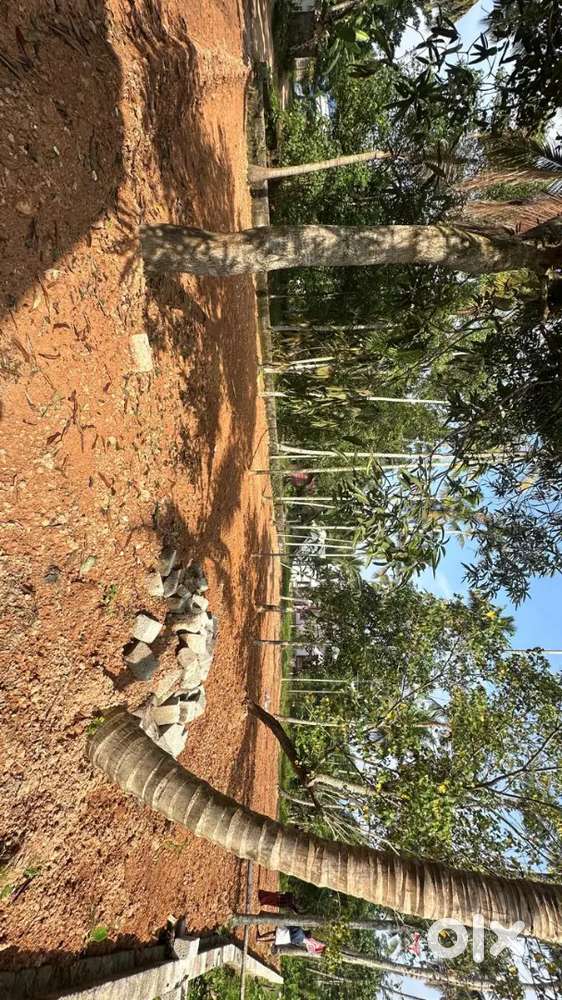 19 CENT SQUARE PROPERTY