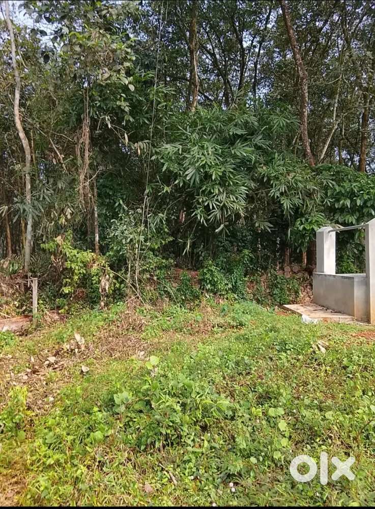 5 cent house plot വറ്റാത്ത കിണർ വെള്ളം വഴി