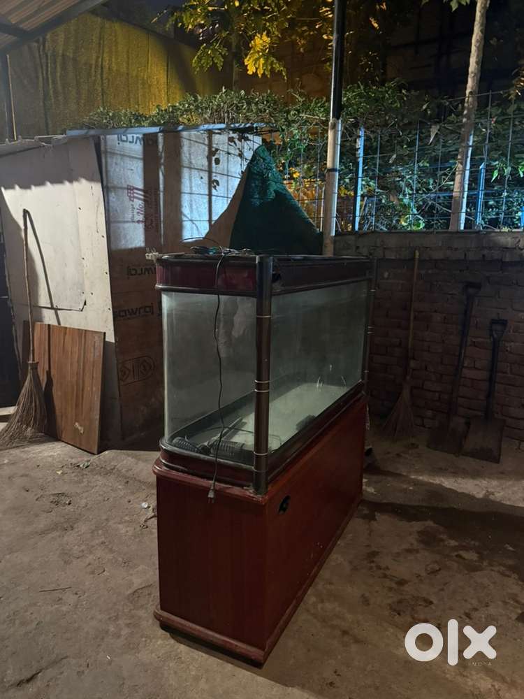 Fish equarium
